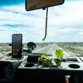 5. I v mobilním domově je prostor pro živé rostlinstvo! A když chybí váza, držák na nápoje to jistí.