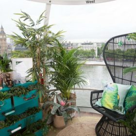 Inspirovaly se přitom deštným pralesem.