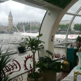 To je patrné už na první pohled. Vegetace prorůstá ptačími klecemi nad postelí a dere se ven ze zásuvek toaletního stolku.