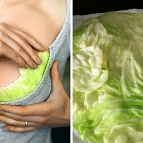 9. Zelné listy. Zvětšováním prsou antické Řekyně a Římanky posedlé nebyly. Zelnými listy zklidňovaly prsa podrážděná od kojení. Zelí disponuje úžasnými protizánětlivými účinky. A ulevuje do bolesti.