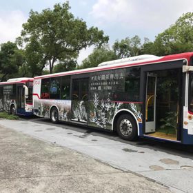 Čínský bus se proměnil v bránu do tropického pralesa. A cestující jásají!