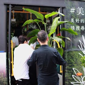 Čínský bus se proměnil v bránu do tropického pralesa. A cestující jásají!