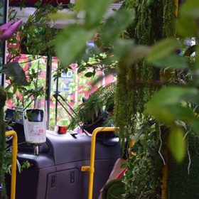 Čínský bus se proměnil v bránu do tropického pralesa. A cestující jásají!