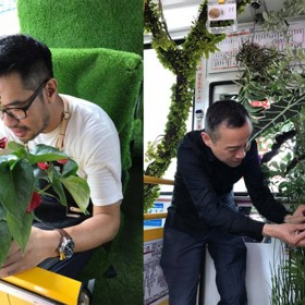 Čínský bus se proměnil v bránu do tropického pralesa. A cestující jásají!