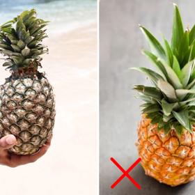 2. Ananas. Mocně voní? Dejte ruce pryč. Silné aroma je znakem přezrálosti, stejně jako pokud na jeho slupce zůstane po zmáčknutí důlek. Zaměřte se na listy. Jsou jemně vybledlé a na koncích se ohýbají? Berte. Výrazné, zdravě vypadající listy prozrazují, že bylo avokádo sklizeno moc brzy.