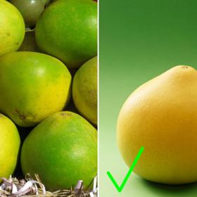 4. Pomelo. Vybrat správný kus není snadné. Jednak existují zelená i žlutooranžová pomela, takže barva nic nenaznačí. Jednak se liší tvarem – natrefit můžete na kulaté i hruškovité. Alespoň ho zkuste osahat. Tvrdé obsahuje spoustu šťávy!