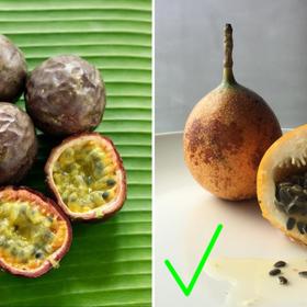 6. Marakuja. Poznáte ji podle tmavě fialové nebo žluté slupky. To ale ještě nic nevypovídá o její zralosti. Nápovědou může být zvrásněná slupka i poměrně vysoká hmotnost. Perfektně zralá 8centimetrová marakuja váží asi 50 gramů.