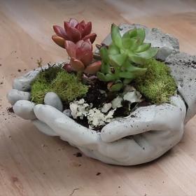 Módní přehlídka sukulentů: 3 úchvatné způsoby, jak je pěstovat!