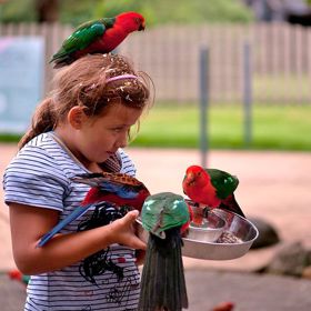 1. Kálející pták. Pokud Rusovi přistane na rameni holubí výkal, nezačne panikařit. Naopak, pod vousy se pousměje. V Rusku totiž potřísnění ptačím výkalem znamená bohatství.