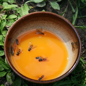 3. Moucha v polévce. Je otázkou, zdali by Dagestánci vrátili v místní restauraci polévku, do které žbluňkla moucha. Předpovídá totiž, že budou obdarováni.