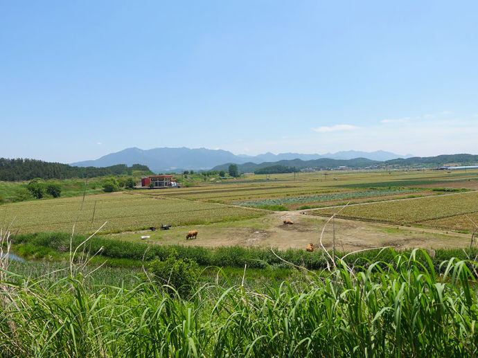 5. Příroda – Jižní Korea.