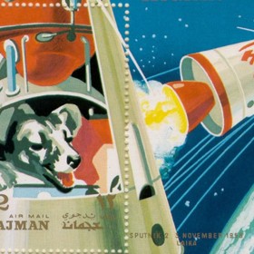 Lajka byla fenka, která se jako první živý tvor z planety Země dostala na oběžnou dráhu. Stalo se tak 3. listopadu 1957 na palubě sovětské družice Sputnik 2. Dostala se i na poštovní známky.