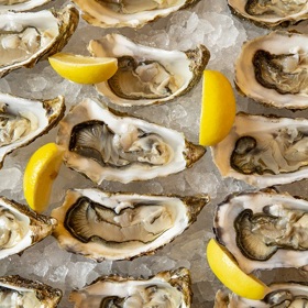 Ústřice patří mezi lahůdky.