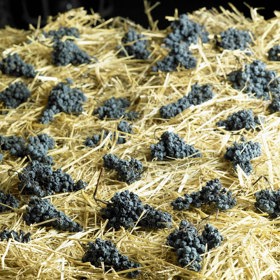 Slámová a ledová vína se sklízejí v zimě.