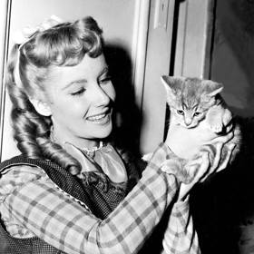 V roce 1949 jako Army ve snímku Little woman