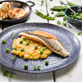 Krém ze žlutého hrachu, grilovaný filet ze pstruha, omáčka z pečeného česneku