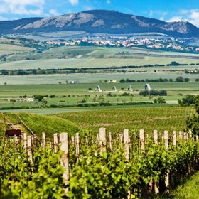 Morava není jen o víně, i když dobře se tam rozhodně popíjí.