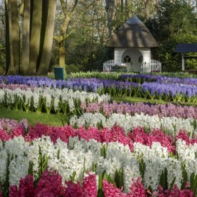 Park má rozlohu 32 hektarů, takže si zde vždy nějaké tiché zákoutí k odpočinku naleznete.