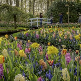 V největším květinovém parku v Evropě nebudete vědět, kam se dříve dívat.