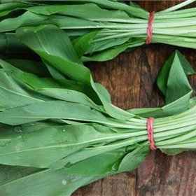 Nespleťte si medvědí česnek s konvalinkou.