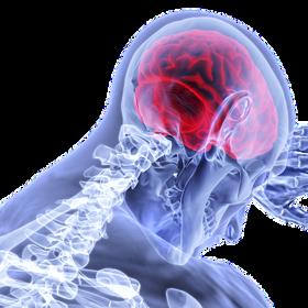 Mrtvice postihuje velké množství Čechů.