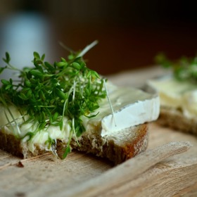 Stejně jako většina zelených bylin a zeleniny i řeřicha je vynikajícím životabudičem a účinnou detoxikační potravinou.