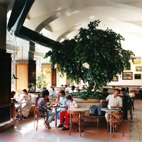 Pohled do prvního McDonaldu ve Vodičkovce