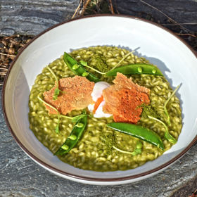 Hotely Akademie jsou známy dokonalou kuchyní