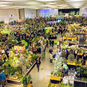 Na výstavišti bude zastoupeno na 350 vystavovatelů, kteří předvedou pestrou škálu nabídek pro zahrádkáře od pěstování okrasných květin a léčivých bylin až po kultivaci ovoce a zeleniny