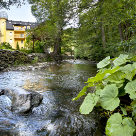 Tady prostě chce trávit jaro