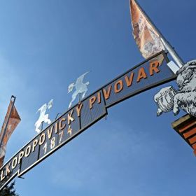 Každou půlhodinu se budou konat prohlídky pivovaru.