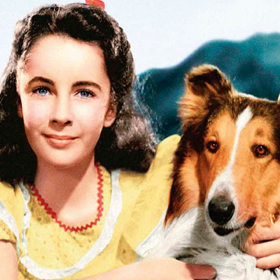 Ve svém prvním filmu Lassie se vrací Liz zazářila, když když jí bylo pouhých 9 let