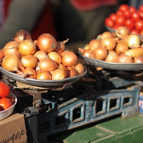 Kvalitní cibule by měla mít vždy neporušenou slupku 