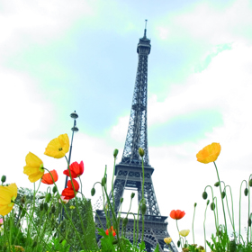 Třemi nohami věže jezdí lanovky do prvního a druhého patra, ve čtvrté noze jsou schodiště pro pěší.