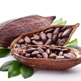 Kakaové boby jsou superpotravinou