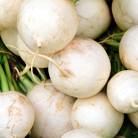 Existují i bílé ředkvičky, které nejsou tak štiplavé.