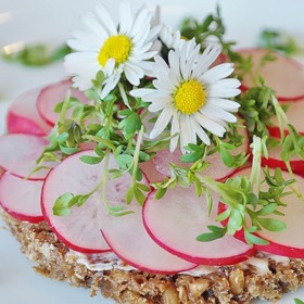 Chleba s ředkvičkou je dokonalou jarní svačinkou.