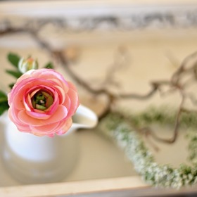 Přineste si z trhu jarní květiny.