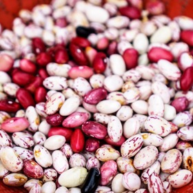 Díky nízkému GI  jsou luštěniny vhodnou surovinou pro přípravu pokrmů vhodných pro diabetiky, vždy ale musí být tepelně zpracované