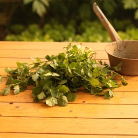 Koriandr dokáže odstranit z těla nadbytečné minerály, navíc umí z organismu efektivně eliminovat toxické kovy, jako je olovo, rtuť a hliník.