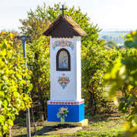 Velké Bílovice se nachází na jižní Moravě