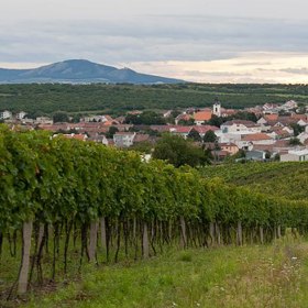 Víno, relax a wellness, kdo by to nechtěl