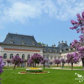 Šeříkový dvůr v zámku a parku Pillnitz.
