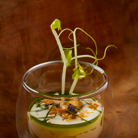 Vegetariánská jídla mohou být velmi chutná