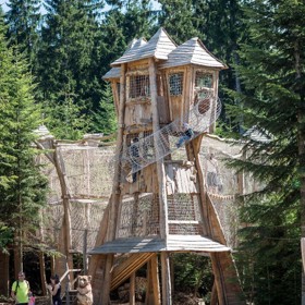 Rozsáhlá lanová centra připomínají stezky zvířat, pro které je les domovem