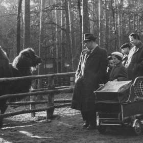 Zoo Děčín slaví v tomto roce 70. narozeniny a hledá pamětníky! 