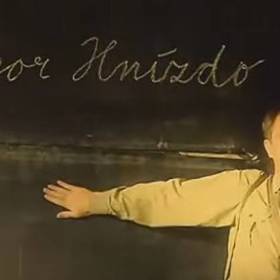 Igor Hnízdo ve filmu Obecná škola