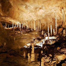 Javoříčské jeskyně jsou unikátní svojí bohatou, zachovalou a rozmanitou krápníkovou výzdobou.