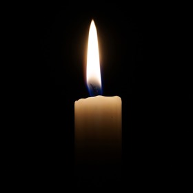 SVÍČKA (25. 5. – 21. 6.): Pro Svíčky je typická společnost, komunikace, učenlivost i zábava. Svíčky umí pobavit okolí. Rozpustilost a hravost jim nechybí ani v pokročilém věku. Občas potřebují rozjímat o životě, aby nabraly novou energii. Nejraději by byly na více místech najednou.