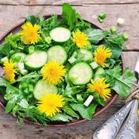 Salát s pampeliškovými listy vašemu tělu prospěje